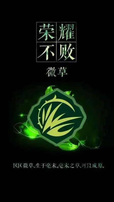 全职高手微草战队和轮回战队图片