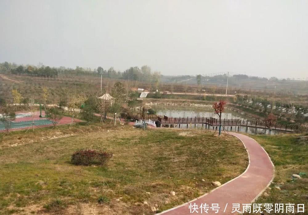 2019主要工作情况