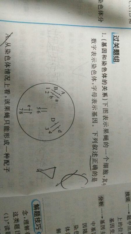 产生配子的种类数目到底怎么算?2^n为什么有