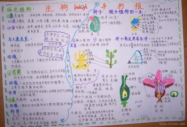 生物手抄报初一上册植物的生长和繁殖图片