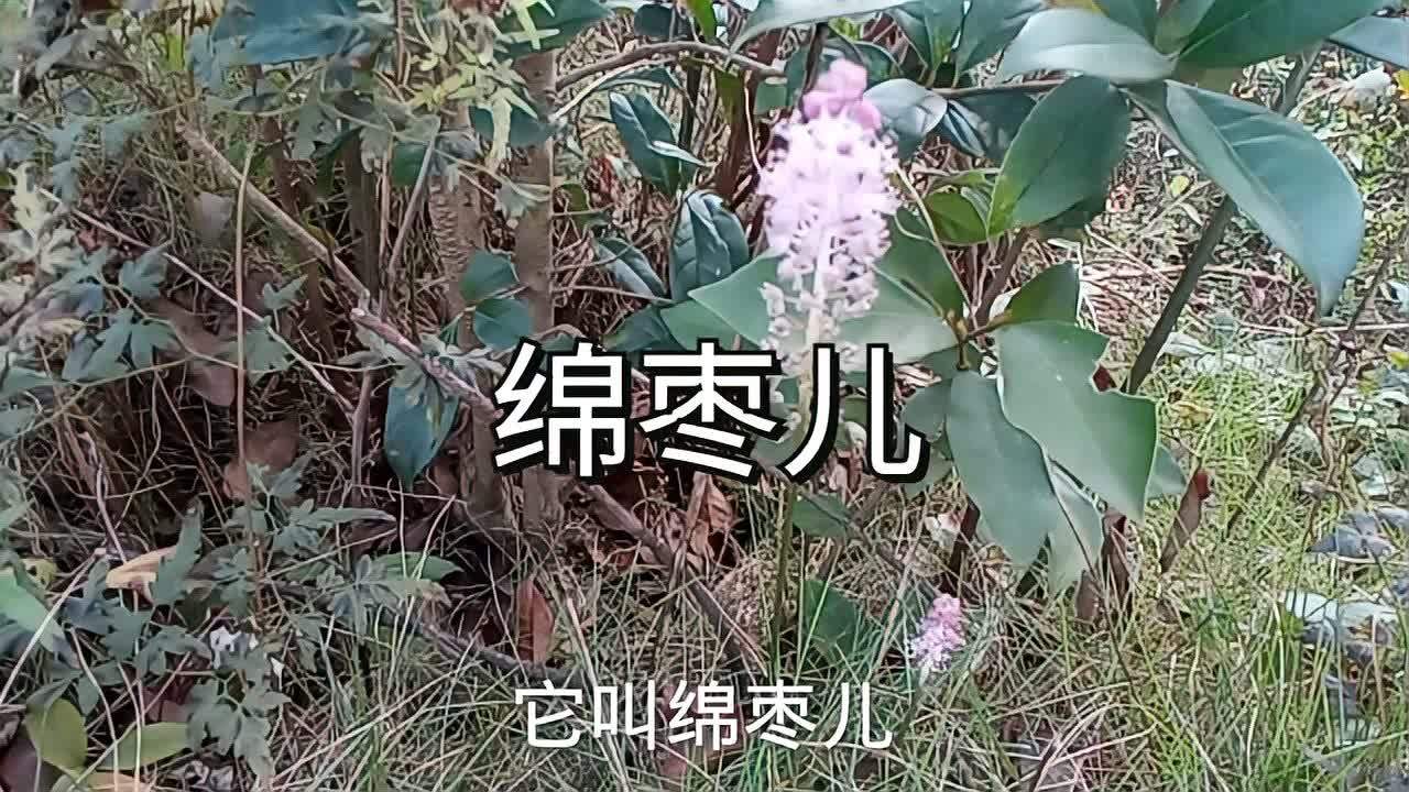 360影视 影视搜索