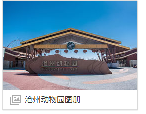 你好,沧州动物园好玩吗?风景好吗