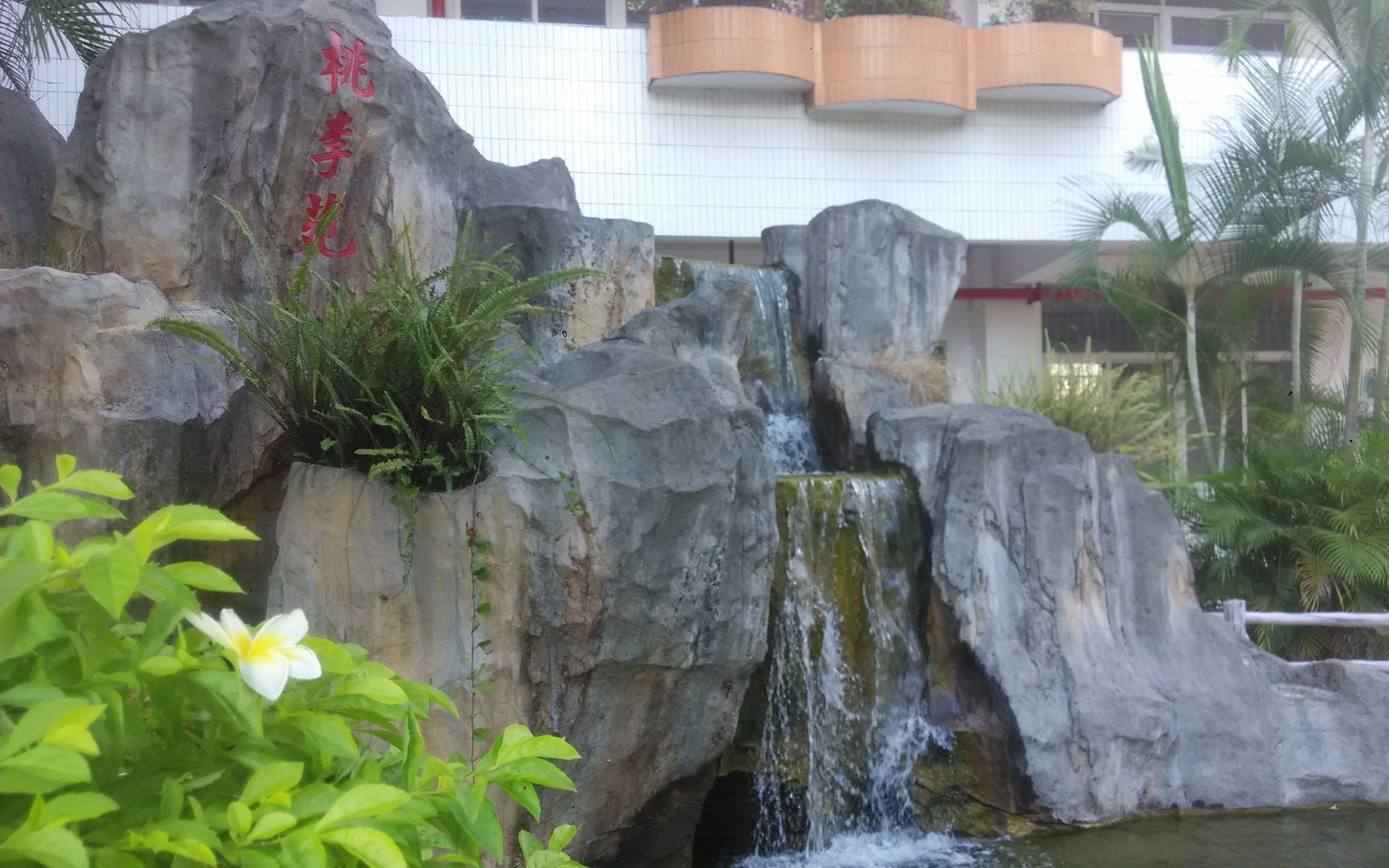 一中行,高中,校园 假山瀑布锦鲤,桃李 17.10.29