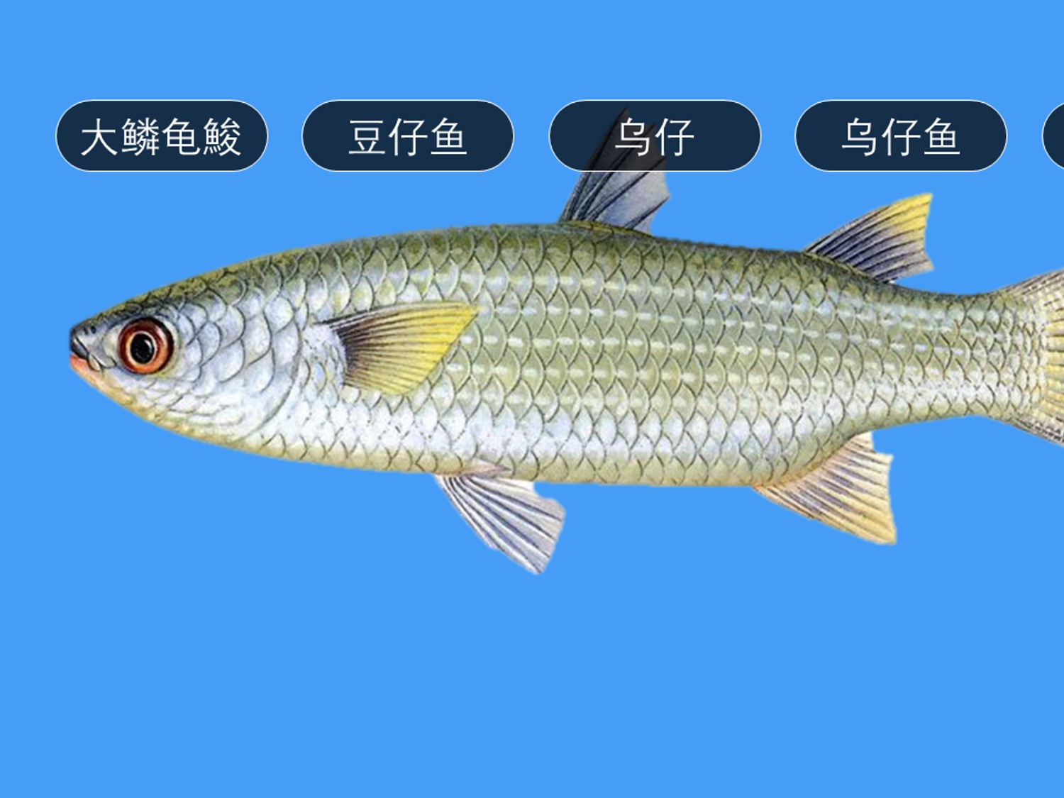 360影视 影视搜索