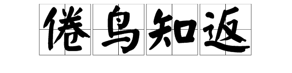 填词:()鸟知返