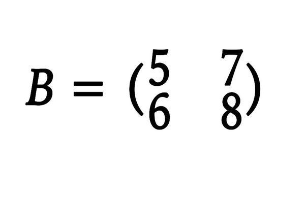 什麼叫矩陣 我數學水平也就是比初中好一點.高中