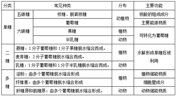 糖类化学的单糖