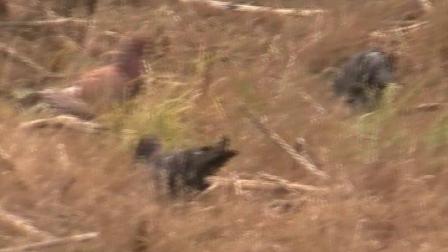 360影视 影视搜索