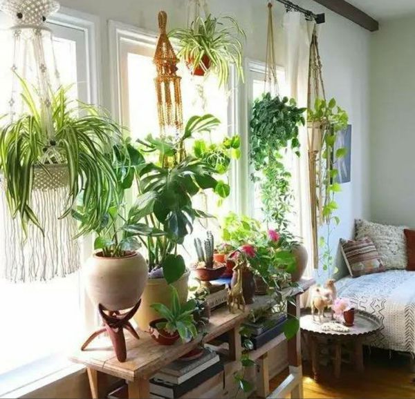 晚上卧室里放很多植物好吗?