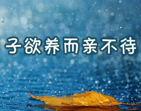 子欲孝而亲不待是什么意思