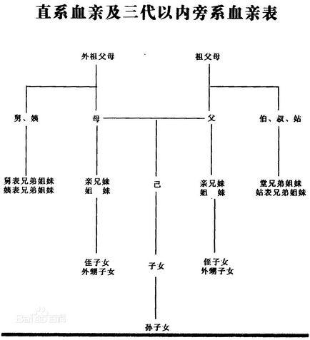 堂兄弟关系图图片