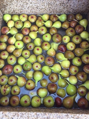 怎样用烤箱做无花果干?