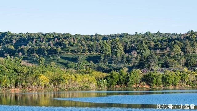 普洱茶怎么不是普洱的