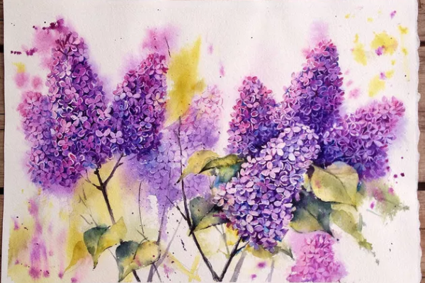 怎样可将中国画颜料调成紫色,我怎么都调不出来