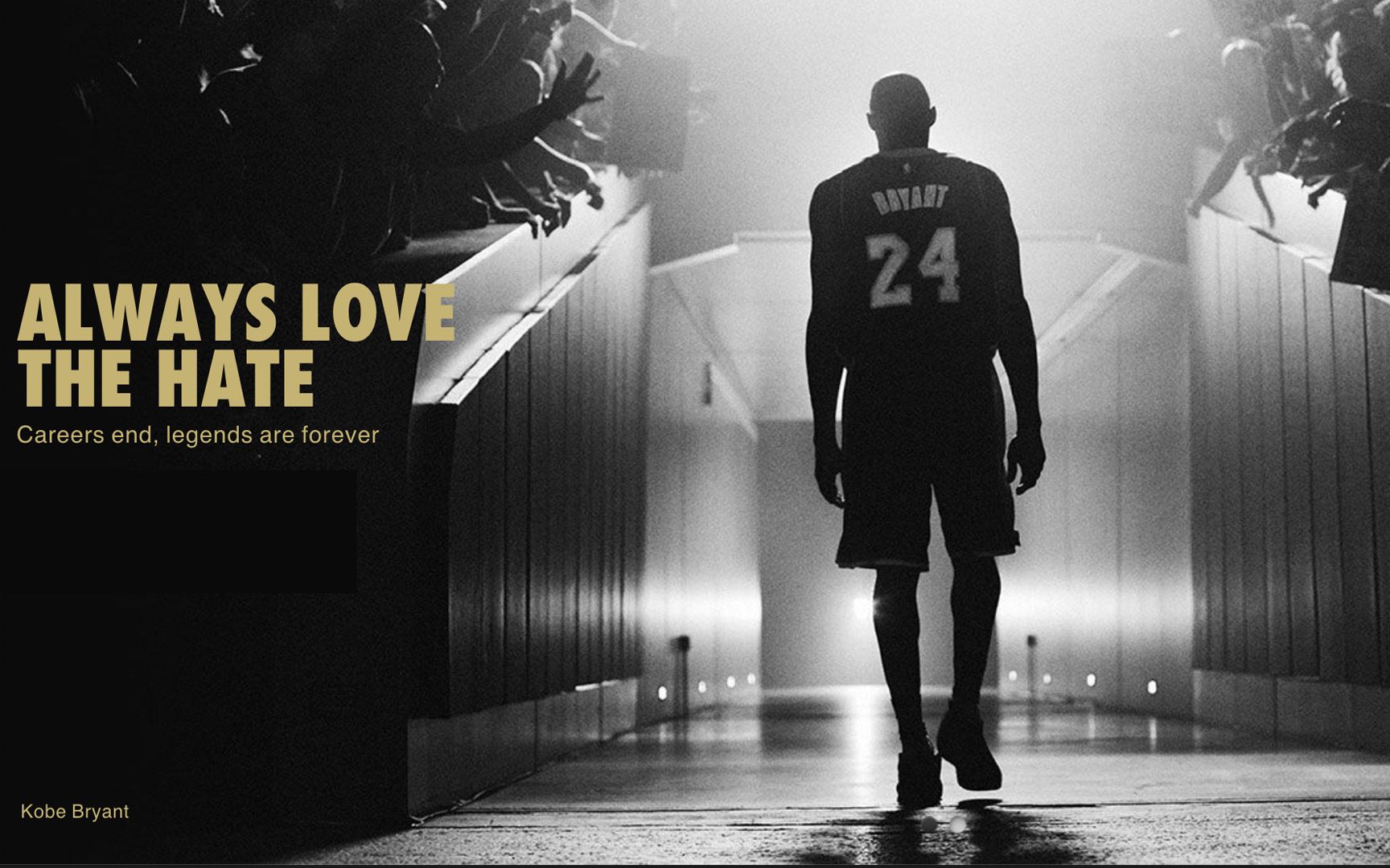 360影视-影视搜索