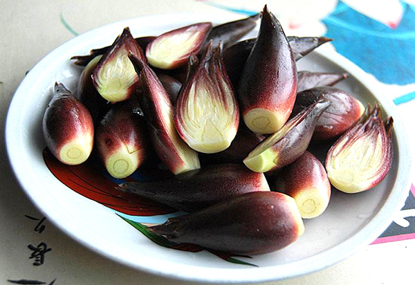 洋河是什么蔬菜