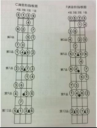 尤克里裡c調音階圖,單音練習曲尤克里裡怎麼從c調調到g調呢?