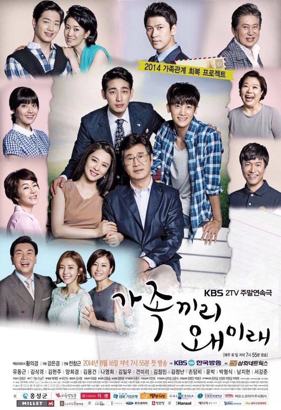 求一部韩剧,讲一个家庭二个儿子和一个女儿的电视剧～大儿子是医生