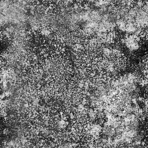 绘图软件SAI的汉化破解版+全套笔刷 谢谢~发送