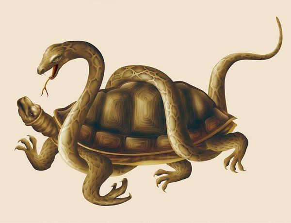 蛇缠龟有什么寓意?