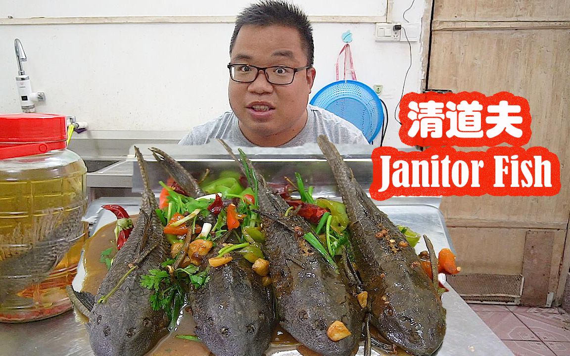  b>清道夫 /b>王者归来,肥仔一次煮4条大 b>清道夫 /b>,网友.