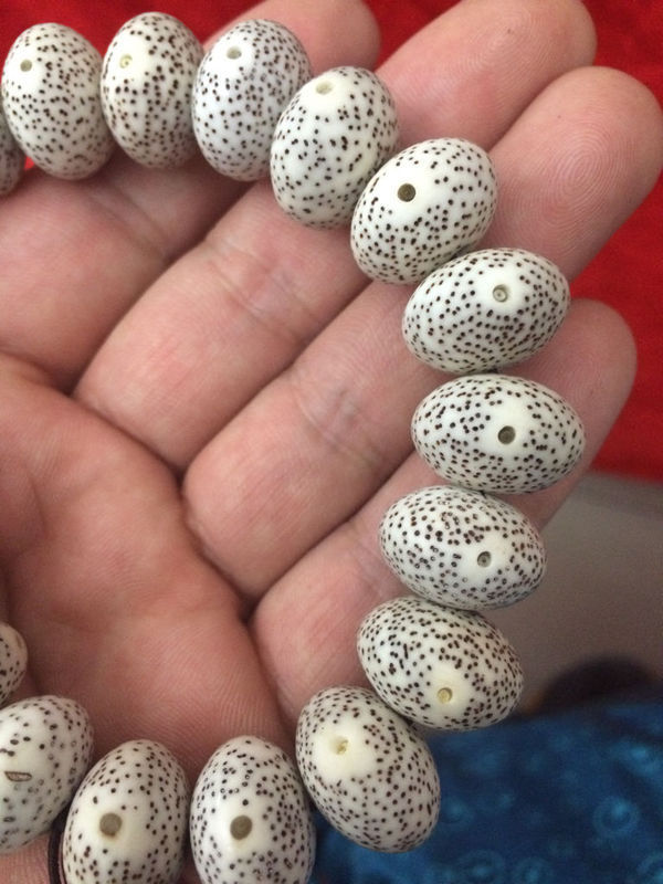 大家帮看看这个星月菩提产地是哪的?