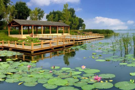 从小自卑的人,到底怎样才能突破自己?