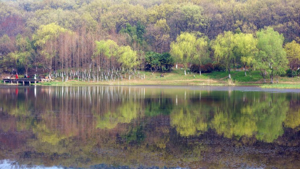 美丽的南京中山植物园[图10]