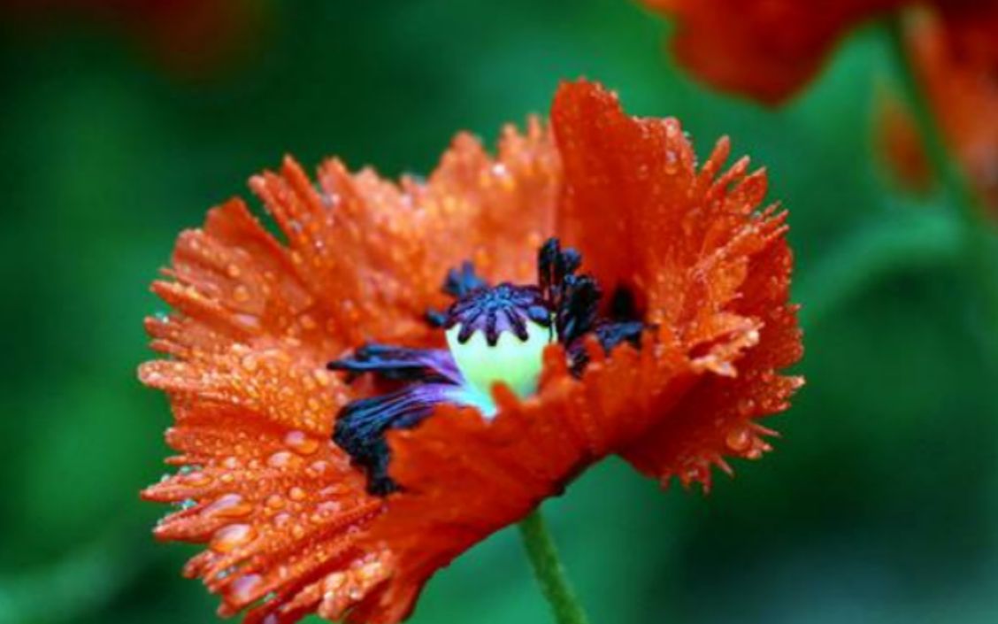 360影视 影视搜索 360影视 影视搜索