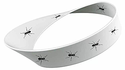 四年级数学3: b>神奇的莫比乌斯带 /b>