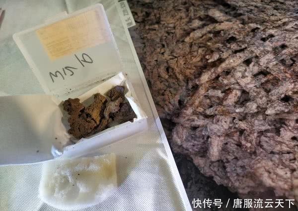 中国最早的中国人