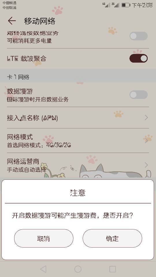 这是什么意思 数据漫游