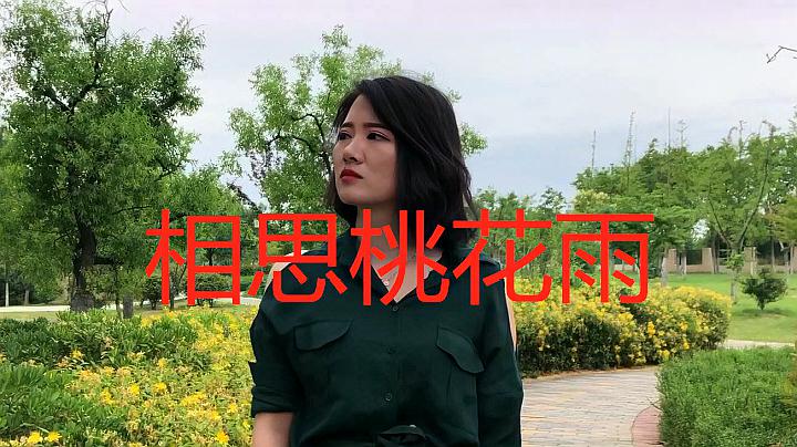 [图]歌曲《相思桃花雨》,农村桃花开的时候听最美,和爱人一起听