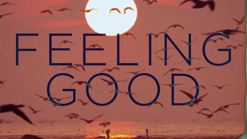 [图]Nina Simone - Feeling Good Remix by Joel Corry