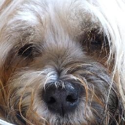 中午好!送你一支好看的广场舞,祝你每天好心情