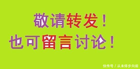 深圳电动车12分制