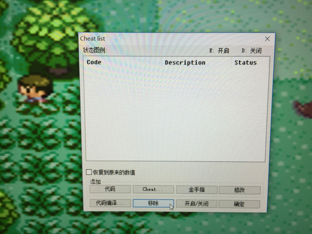 口袋妖怪绿宝石怎么用金手指啊界面如下