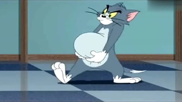 《新猫和老鼠》:汤姆 怀孕了挺着个 大肚子,马上 要生小汤姆猫了