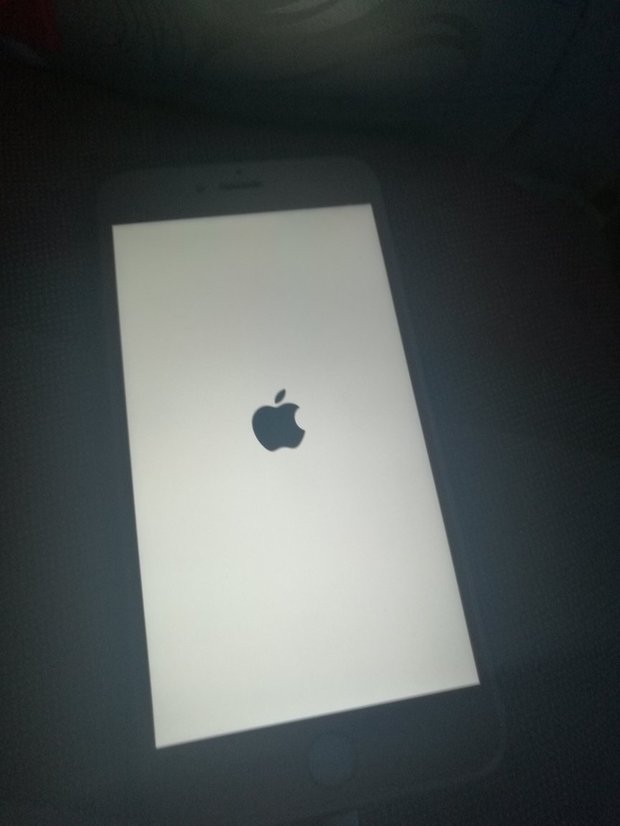 前天更新了系统,昨天苹果6sp突然白屏黑苹果(