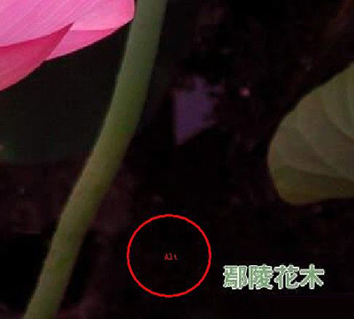 PS仿制图章工具下载使用教程