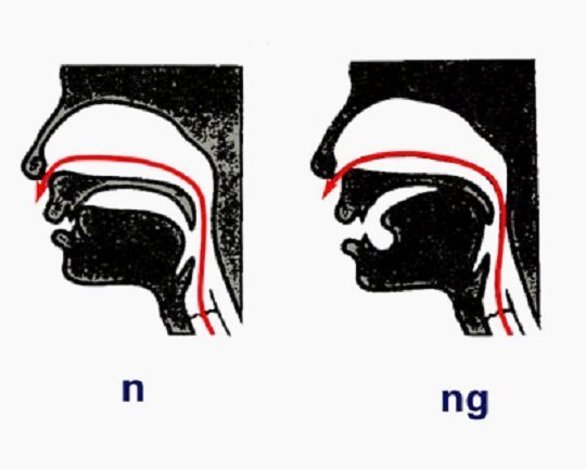 前鼻音chen怎么发音?口腔内的各个部位有什么