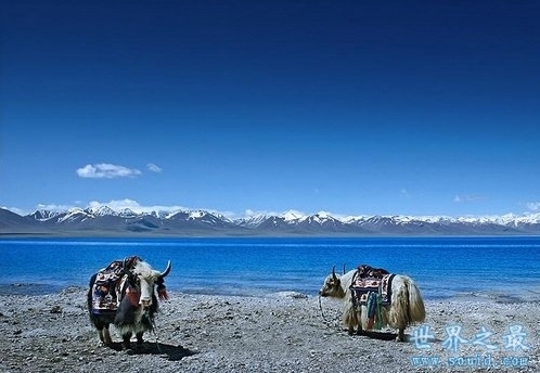 中国海拔最高的湖在