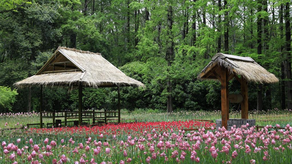 美丽的南京中山植物园[图13]