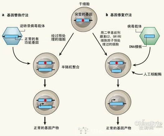 dna修复(dnarepairing)是细胞对dna受损伤后的一种反应,这种反应可能