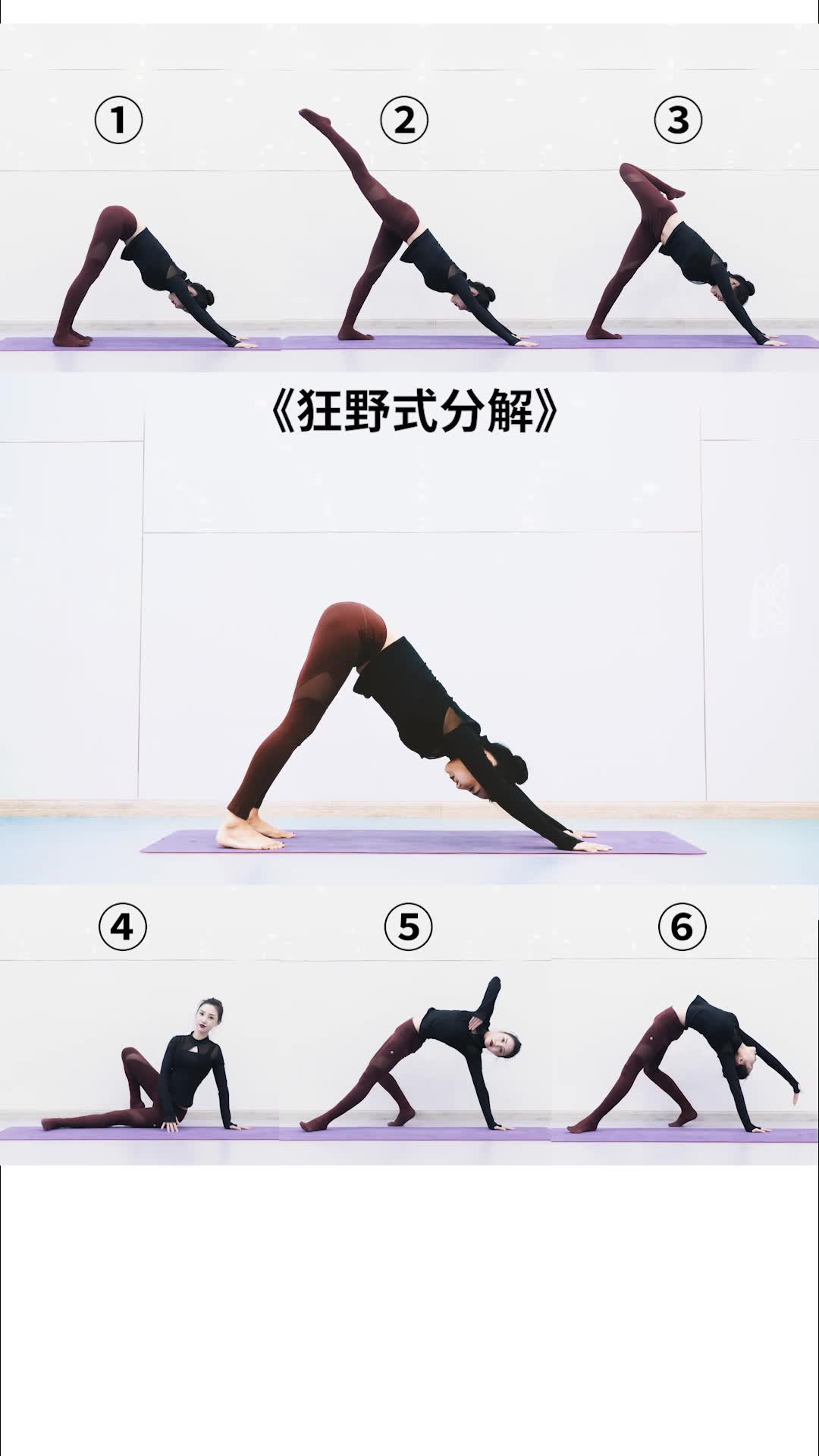  b>瑜伽 /b>小教学: b>瑜伽体式 /b>狂野式分解教学