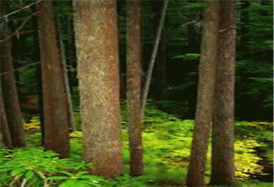 双色球五分钟开一次叫什么