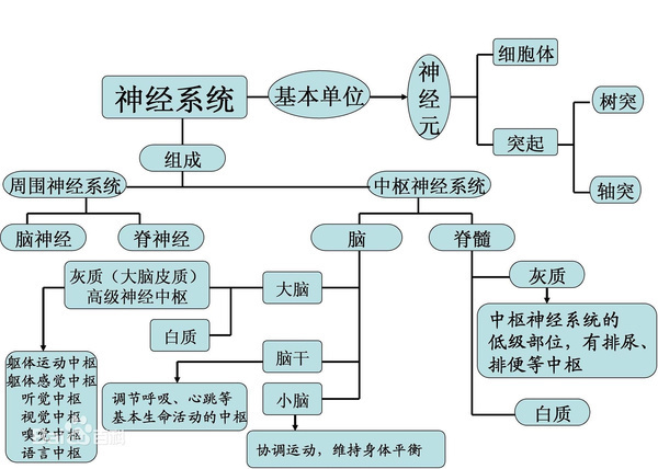 张玉琪:看什么病去挂神经外科的号?