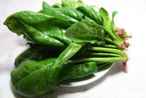 海菠菜有什么作用?