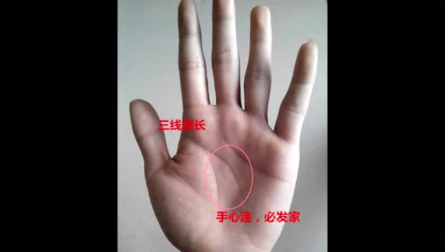 看看你们手相福禄寿 三宫,若圆圆鼓鼓,今生必有财,中年实现大财