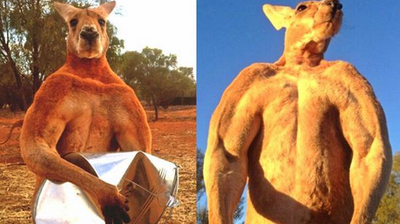 360影视-影视搜索